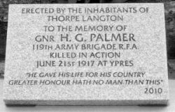 Palmer plaque